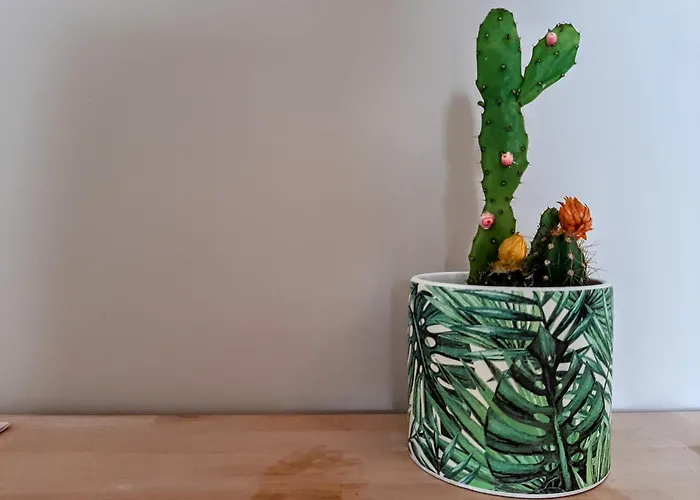 Apartment Equipe - Face A La Gare - Wifi Rapide - Ideal Pro & Courts Sejours